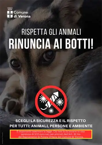 Fuochi d'artificio e Petardi un pericolo mortale - 2 Rinuncia ai botti 3