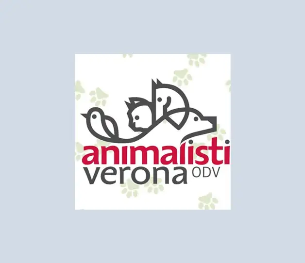 adozione cani verona animalisti verona