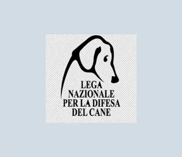 adozione cani verona lega nazionale difesa del cane