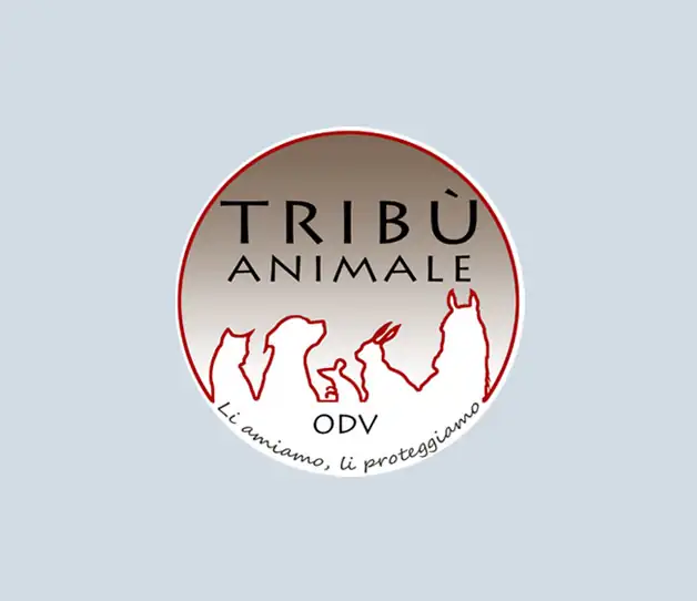 adozione cani verona lega nazionale difesa del cane