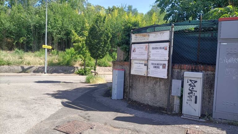 cani verona - eden - oltre la conoscenza