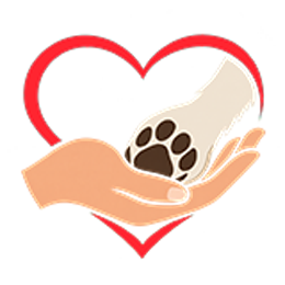 cani verona donazioni cure mediche p